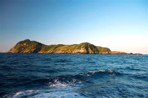 Ilha da Queimada Grande, The Snake Island | Amusing Planet