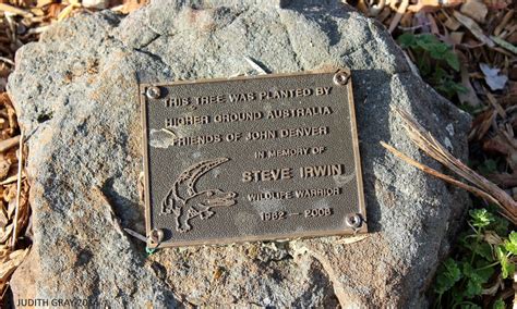 Steve Irwin Funeral | Memorial Tree and Plaque for Steve Irwin at ...