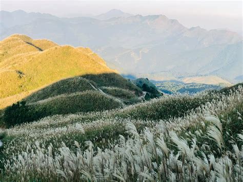 Du lịch Bình Liêu mùa cỏ lau - Vntrip.vn