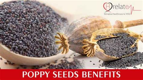 Poppy Seeds Benefits: Amazing Results In A Small Package