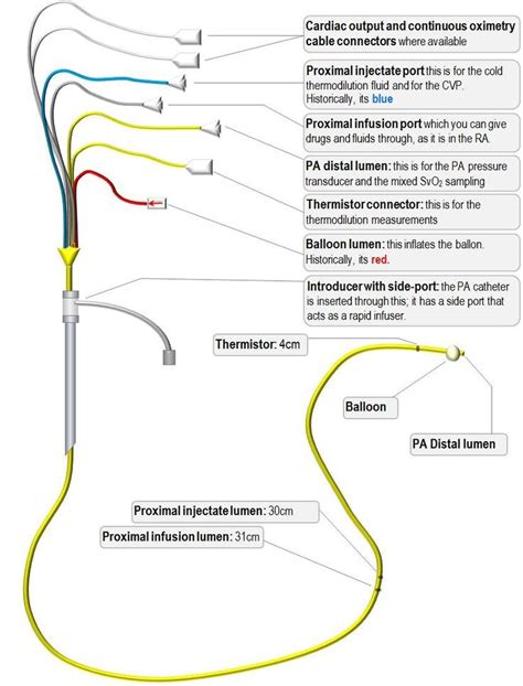 Pin on Education