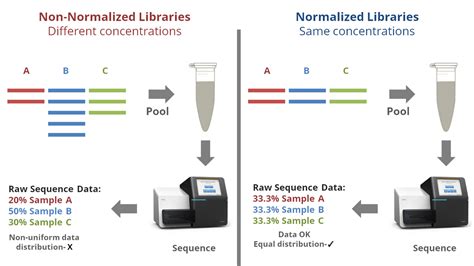 DNA SEQUENCING: ILLUMINA WORKFLOW PART-3 (LIBRARY NORMALIZATION ...