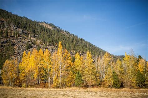 Sleeping Lady Resort | Mountain Resort in Leavenworth, WA