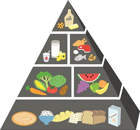 Food Pyramid Illustrations, Royalty-Free Vector Graphics & Clip Art - iStock