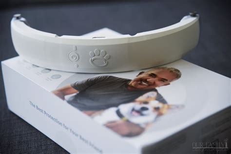 Keep Your Dog Safe with The Halo Collar by Cesar Millan