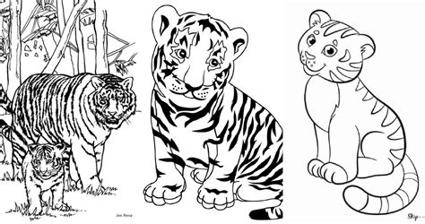 25 Free Tiger Coloring Pages for Kids and Adults - Blitsy