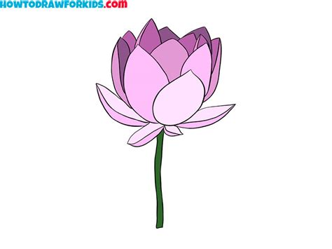 Pretty Lotus Flower Drawing | Best Flower Site