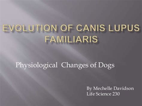 Evolution of canis lupus familiaris