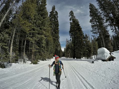 Yosemite Ski and Snowboard Area | Yosemite National Park Cross Country Skiing - The Bubbly Mermaid