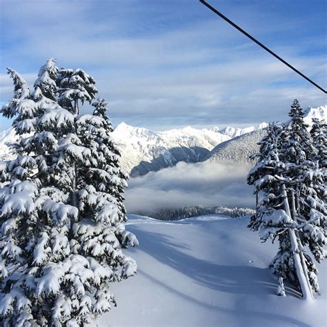 Mt. Baker Ski Area | The Undisputed King of Snow