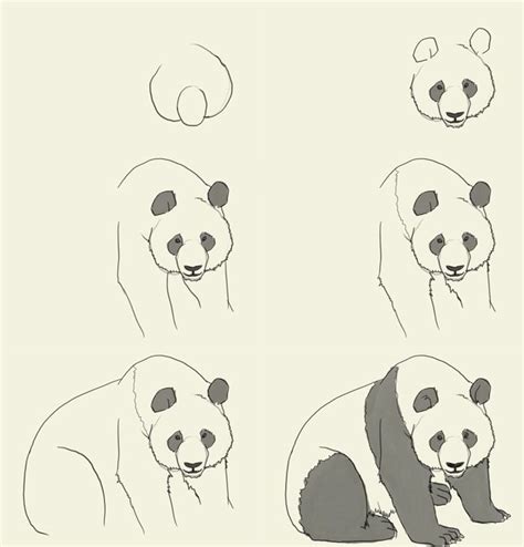 Panda drawing, Panda art, Animal drawings