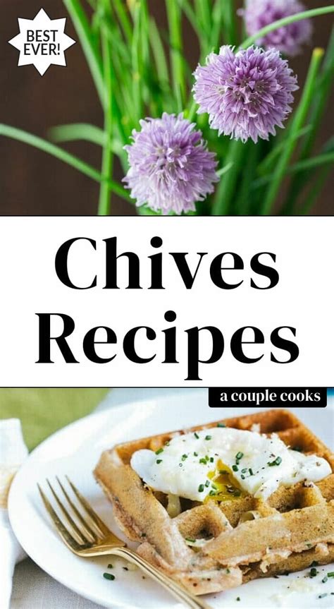 10 Chives Recipes to Try – A Couple Cooks