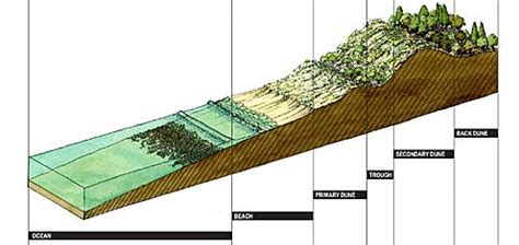 Center for Applied Transect Studies