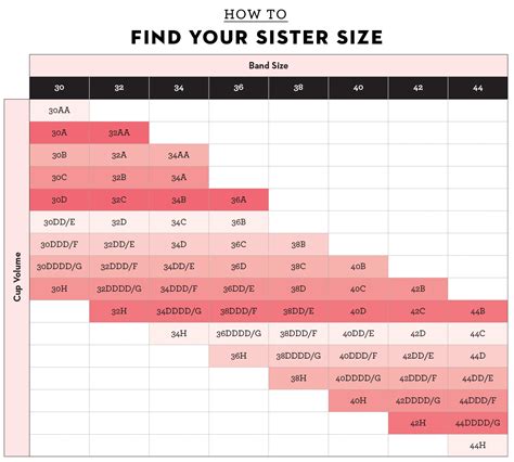 Breast Cup Size Chart