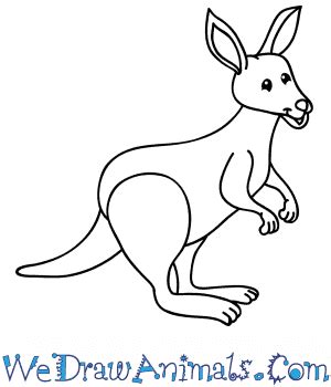 Cartoon Kangaroo Pictures - img-Abetzi