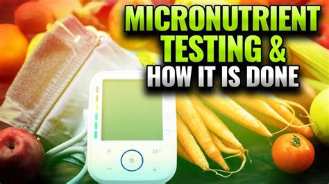 What Is Micronutrients Testing | How Micronutrient Test Is Done ...