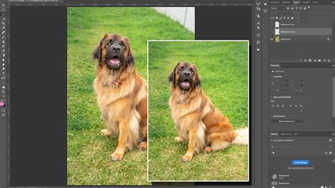 Using the Lasso tool in Photoshop for selections - Photofocus