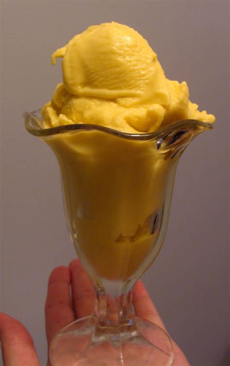 The Maine Vegan: Mango Ice Cream and a Satruday Off