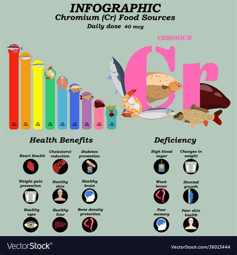 Health benefits chromium supplement infographic Vector Image