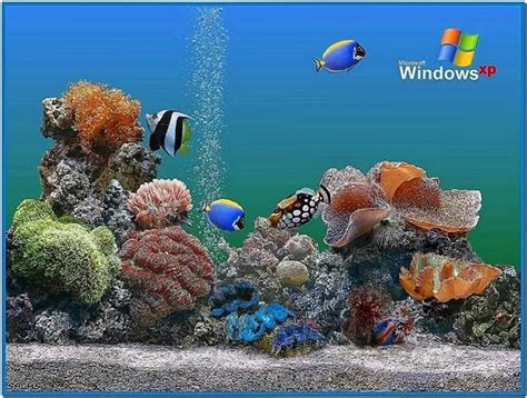 Microsoft fish tank screensaver - Download free