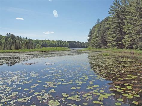 Eau Claire River Tiny House – Tiny House Swoon