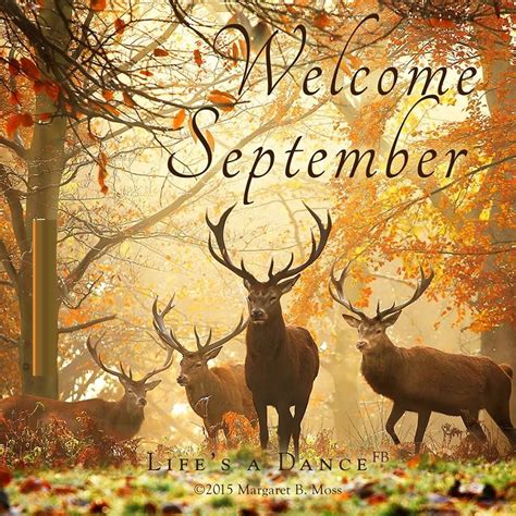 Welcome September Nature Images | Welcome september, September pictures ...