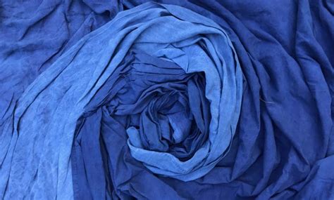 INDIGO DYE | NATURAL DYE PROCESS | INDIGO PLANT | SLOW FASHION