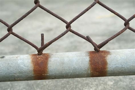 Do Chain Link Fences Rust? (5 Maintenance Tips) – Fence Frenzy