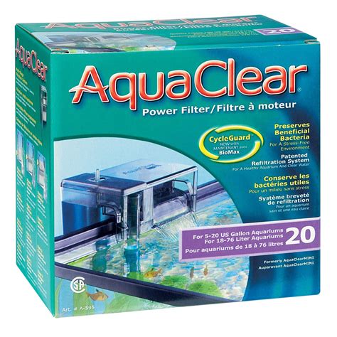 Best Filter for Betta Fish - Complete Buyers Guide - The Aqua Advisor