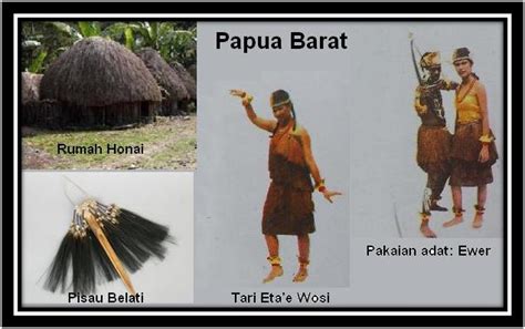 10++ Contoh Gambar Gambar Dan Nama Rumah Adat Papua Barat