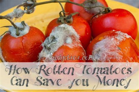 DIY Septic Tank Treatments | How Rotten Tomatoes can save you Money