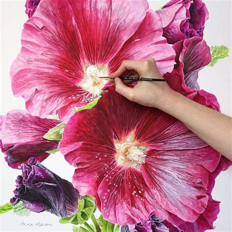 Anna Mason annamasonart | Botanical painting, Hollyhocks flowers, Floral watercolor