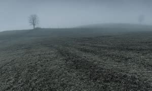 Bleak Landscape | clicksnapclick