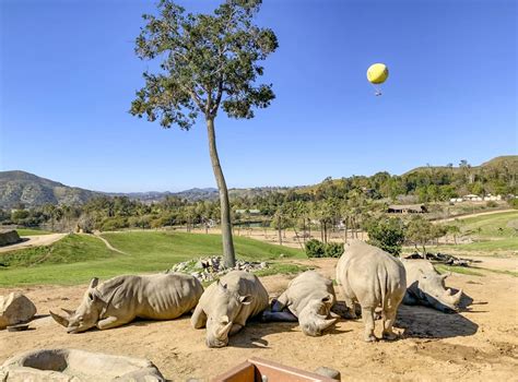 San Diego Zoo Safari Park Guide: Member Tips & Tickets