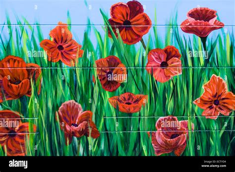 Painted poppies hi-res stock photography and images - Alamy