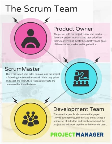 Scrum Roles: The Anatomy of a Scrum Team - ProjectManager.com