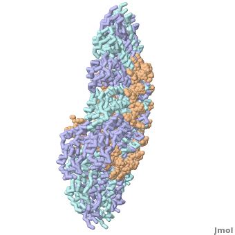 Tobacco Mosaic Virus Structure