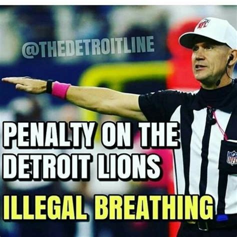 steelergalfan4life 🖤💛 - LMAO 🤣 | Detroit lions funny, Detroit sports, Nfl detroit lions