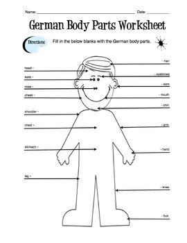 German Body Parts Label Worksheet & Answer Key by Sunny Side Up Resources