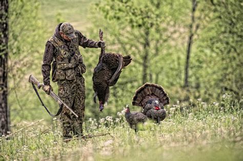 Turkey Hunting Tips For Beginners - The Best And Most Complete Hunting Tips