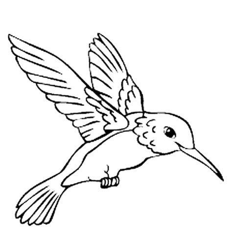 Image result for hummingbird glass etching stencil | Bird outline, Bird drawings, Bird coloring ...