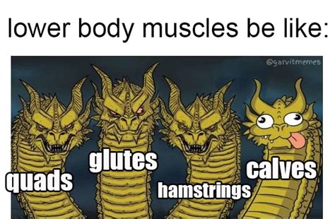 This is why I never wear shorts : r/GymMemes