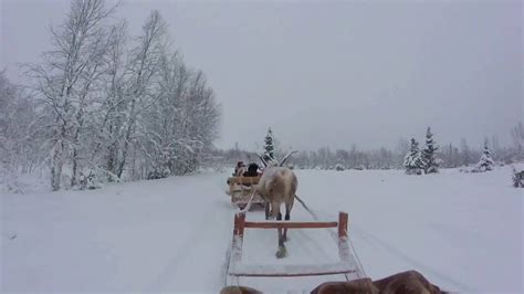 Reindeer Safari In Lapland | Finland - YouTube