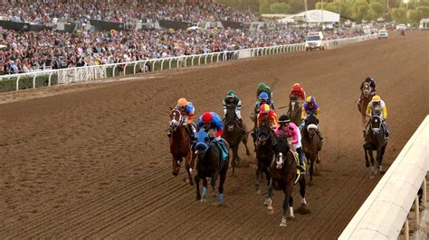 2023 Breeders' Cup Live Stream | Watch every race from Santa Anita live ...