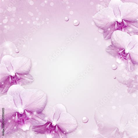 "orchids border" Stock photo and royalty-free images on Fotolia.com - Pic 59906005