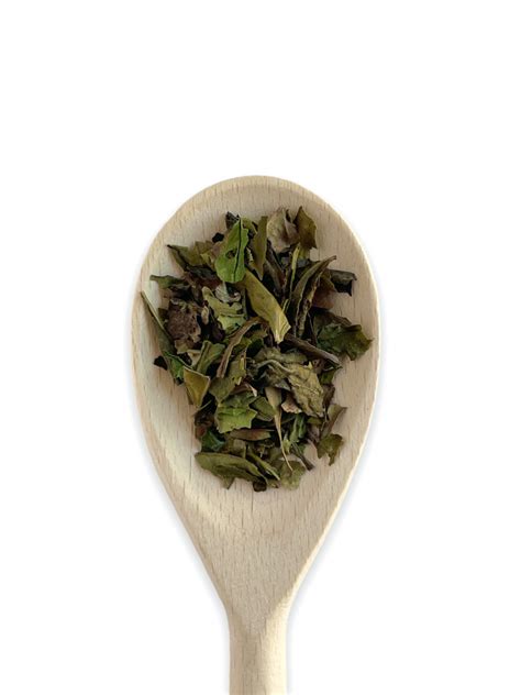 Pai Mutan China White Loose Leaf White Tea - Mr Miles Tea Rooms, Tea ...