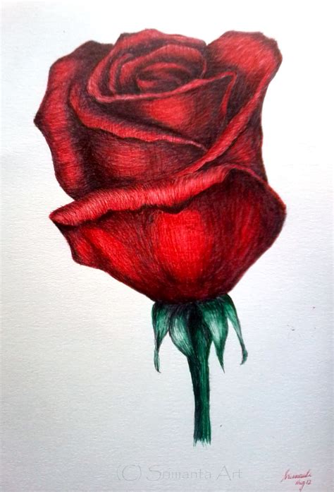 Red Rose Drawing at GetDrawings | Free download