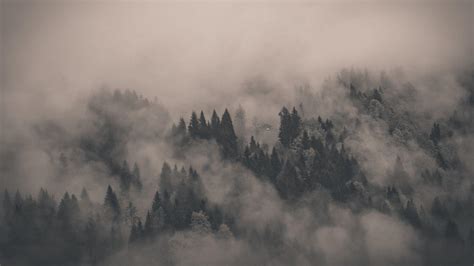 Creepy Fog Wallpapers - Top Free Creepy Fog Backgrounds - WallpaperAccess