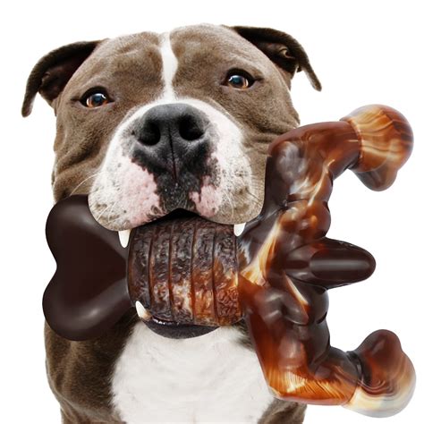 What Is The Best Chew Bone For Dogs