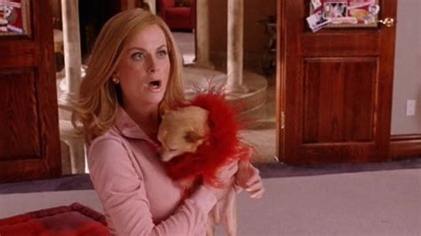 'Mean Girls' Anniversary: 16 of Amy Poehler's Iconic 'Cool Mom' Moments